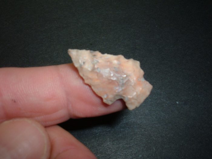STUNNINGLY UNUSUAL COLOR OHIO ARCHAIC BIRD POINT
