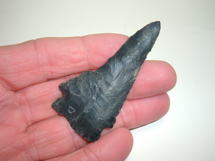 AWESOME OHIO ARCHAIC MEADOWOOD