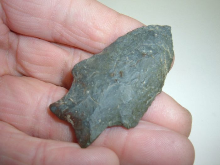 EXCEPTIONAL OHIO PALEO TRANSITIONAL