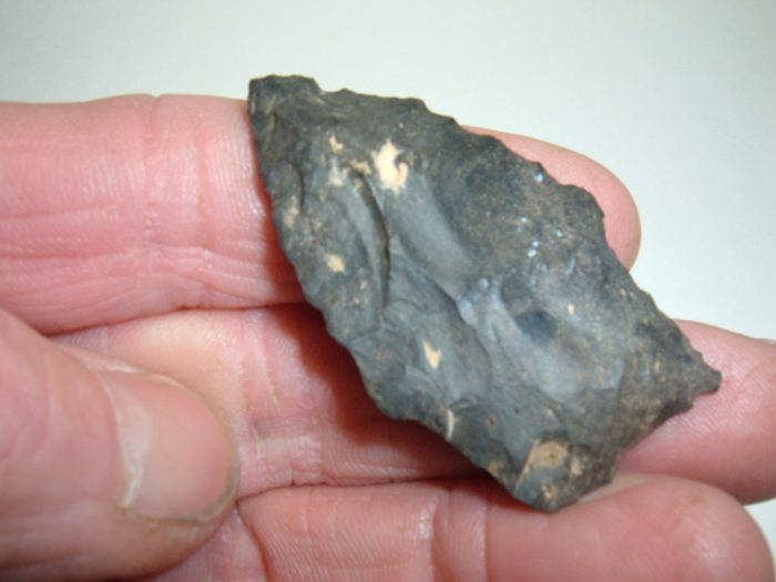 OUTSTANDING PALEO STRINGTOWN LANCE