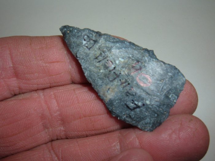 WAFER THIN OHIO PALEO STEM LANCE