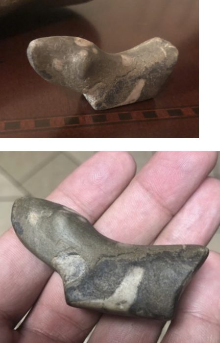 Noded Eye Fossil Birdstone