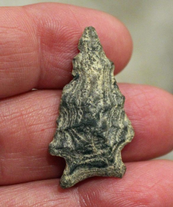 Flow banded rhyolite Palmer