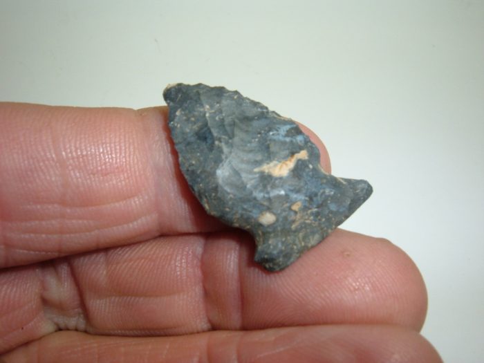 AWESOME OHIO FISH SPEAR BIRD POINT