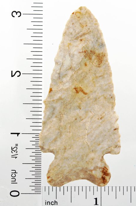Large MacCorkle Bifurcate Ohio