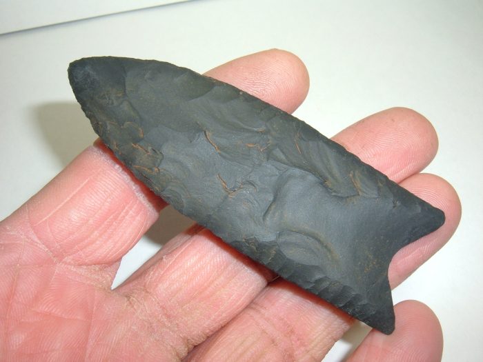 KILLER LARGE OHIO CLOVIS!