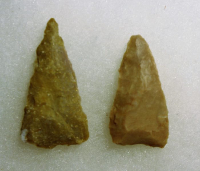 Dos Tortugas
