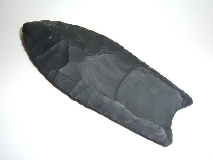 INCREDIBLE JET BLACK ZALESKI PALEO CLOVIS