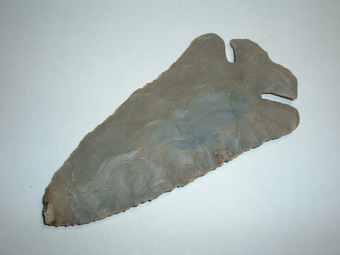 OUTSTANDING GIANT OHIO THEBES