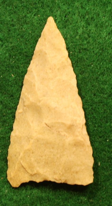 Sharp and Pointy Tortugas