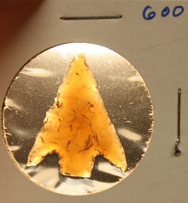 Perfect Translucent Perdiz
