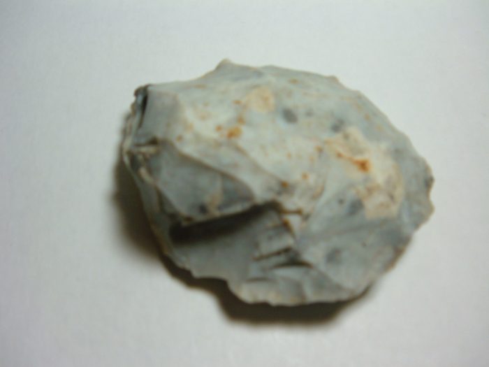 GIANT PALEO TURTLEBACK SCRAPER