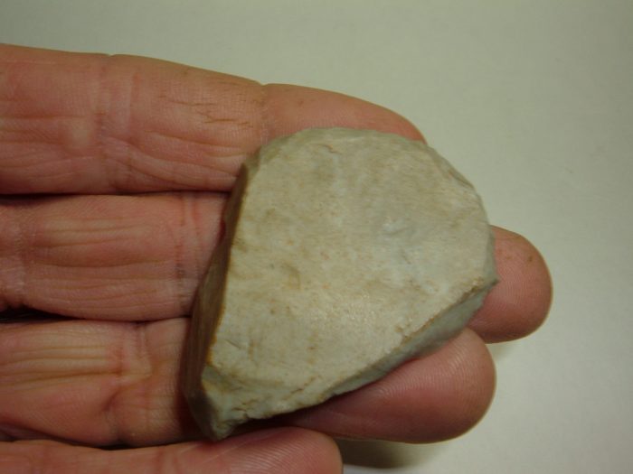 NICE, LARGE  PALEO THUMB SCRAPER
