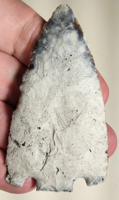 Large Eva Point - Indiana - Rogers COA