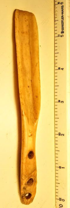 Fossilized Bone Eskimo FlesherScoop - Alaska