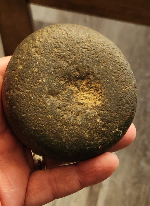 Tennessee Biscuit Discoidal
