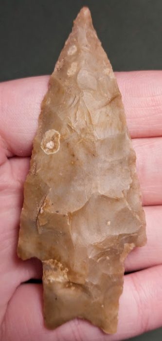 Semi-translucent Pedernales - Texas - Black COA