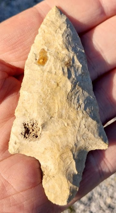 Large Adena Blade - Florida - Rogers COA
