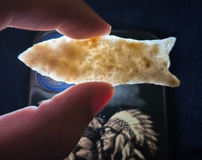 Outstanding Translucent Paleo Cumberland