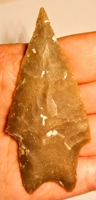 Root Beer Pedernales Point - Texas - Rogers COA