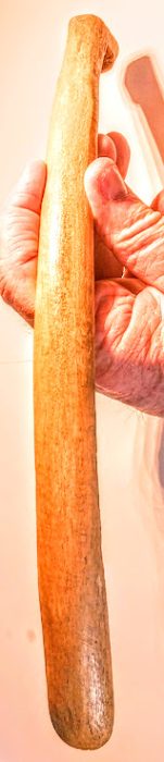 Giant Eskimo Polished Fossil Rib Bone Scraper - Alaska - Stermer COA