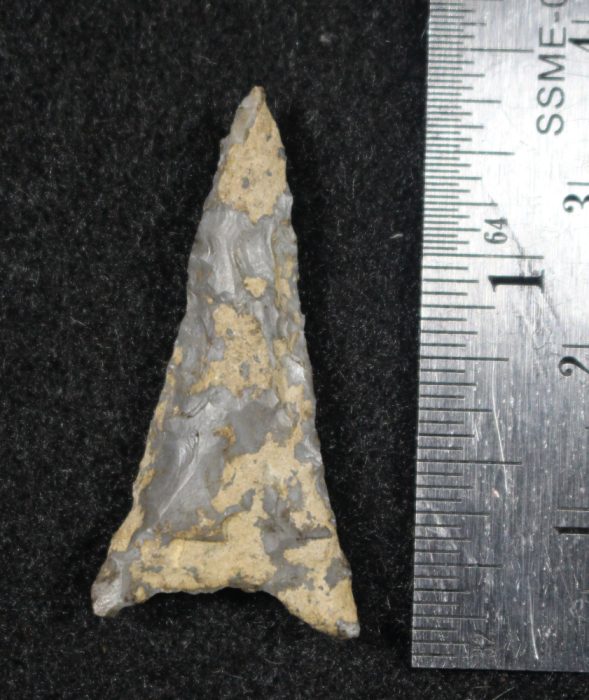 Long Thin Hamilton Projectile Point