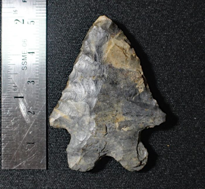 Ohio MacCorkle Bifurcate