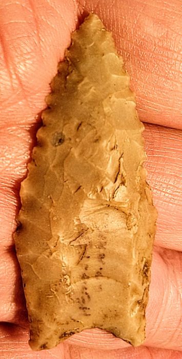 Serrated, Fluted Dalton - Arkansas - Rogers COA