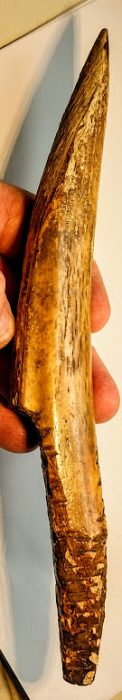 Eskimo Fossil Walrus Ice Tester - Alaska