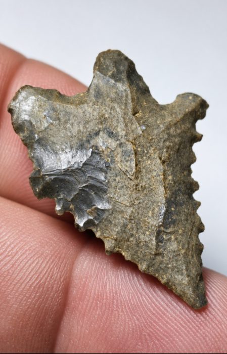 SUPER TOOTHY SERRATED LECROY WEST VIRGINIA