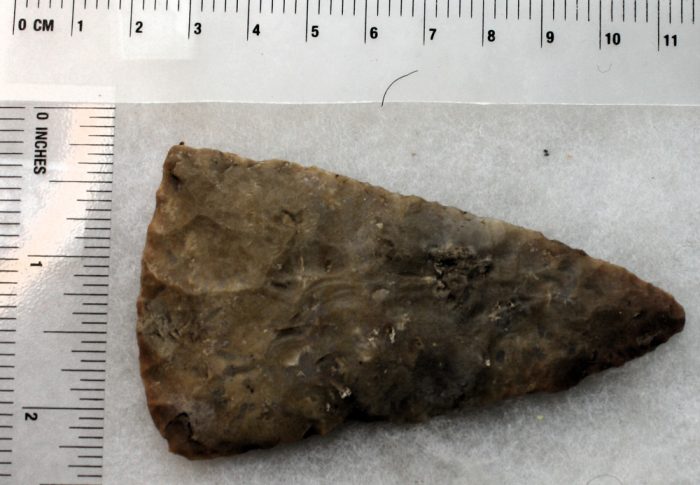 Castroville Blade