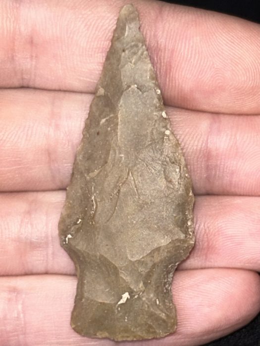 Fine 2 1/2” Texas Nolan