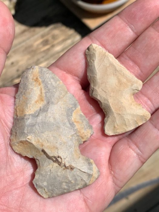 Pair of Michigan Thebes Points