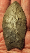 Manificent, Paleo Crowfield Point - Pennsylvania - Rogers COA